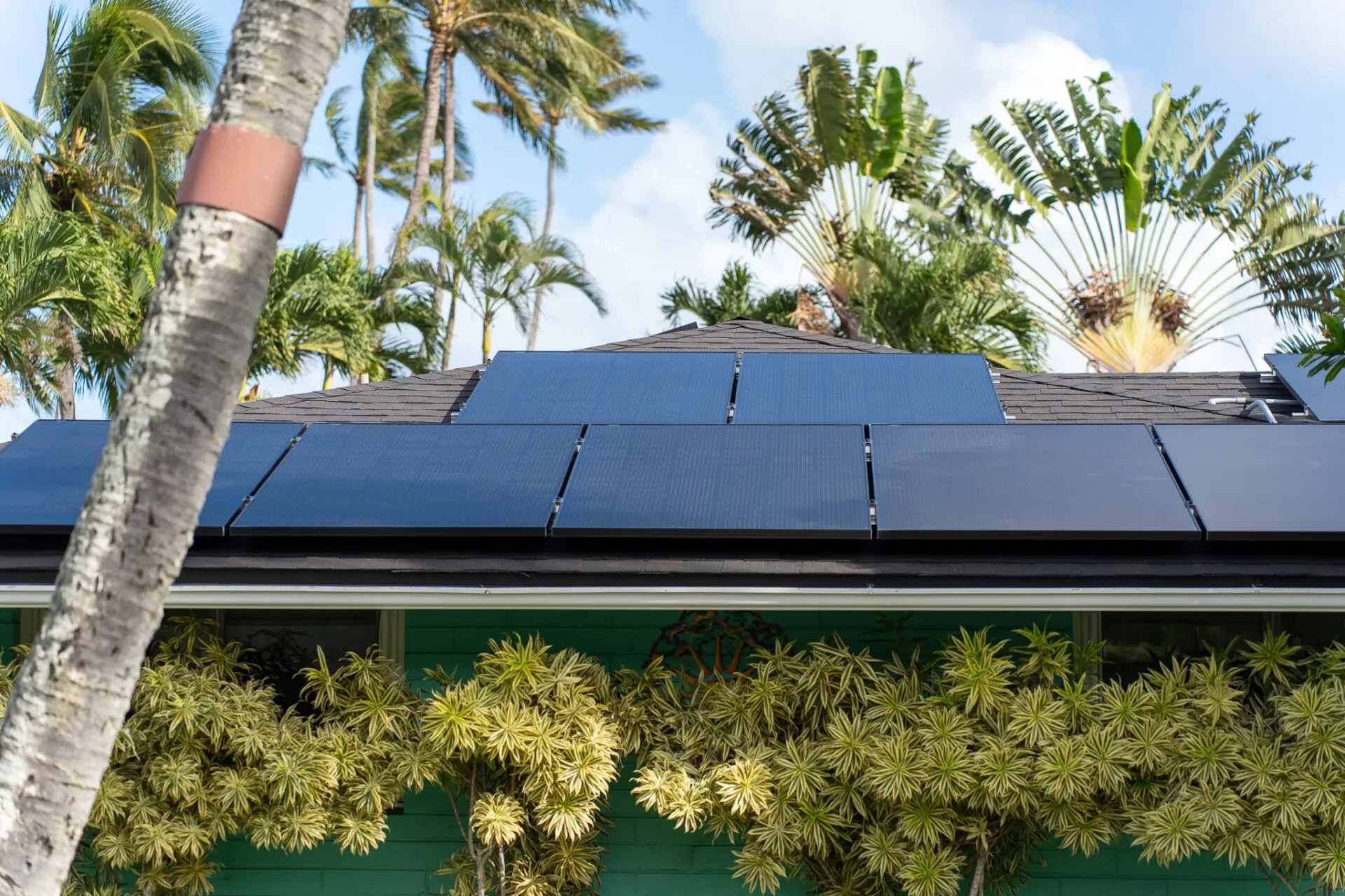 Solar panels installed on a new roof in California. Palm trees in the foreground and background, bright blue sky. ATTYX Solar