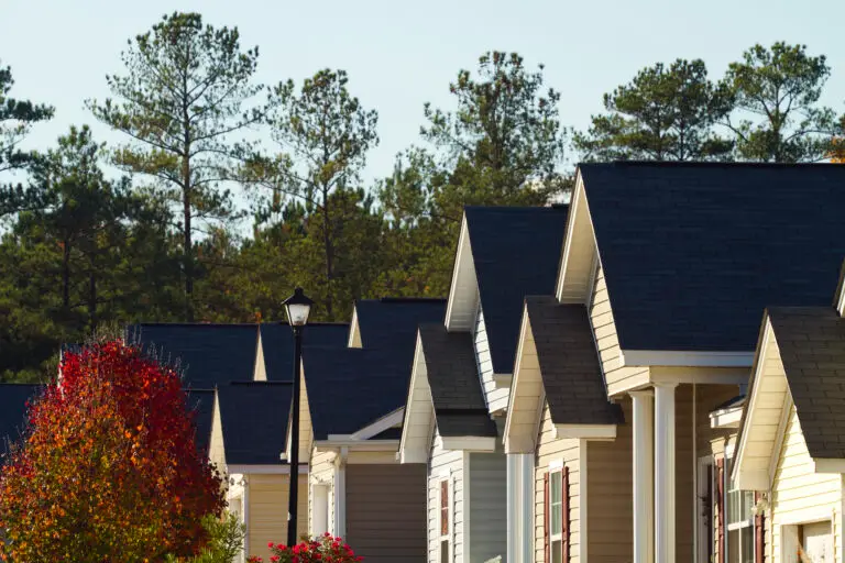 a row of suburban roofs.